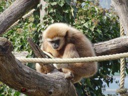 Tiergarten Schönbrunn am 12.03.2025